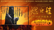 免费观看一级欧美在线视频